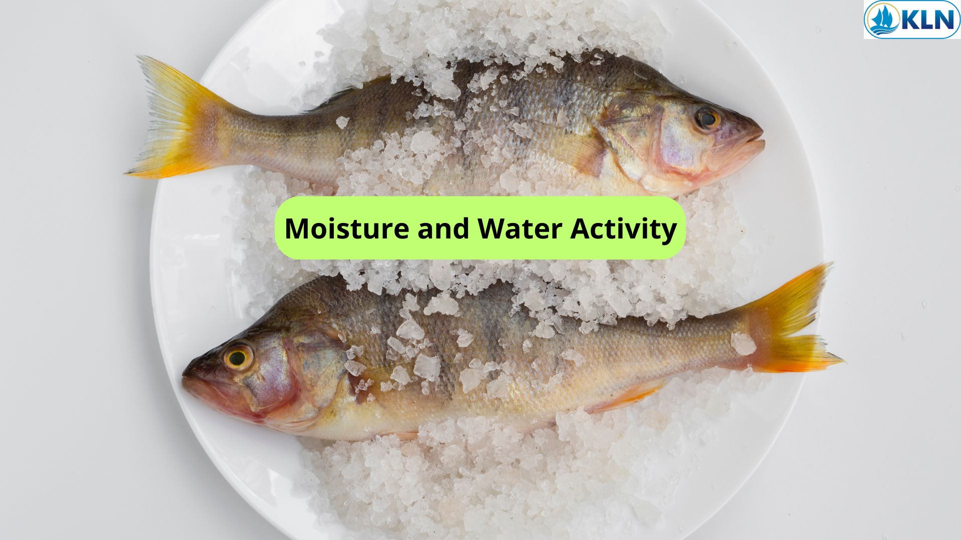 Moisture and Water Activity